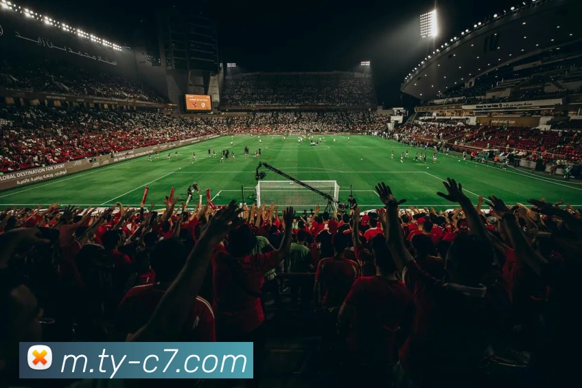 多媒体互动体验